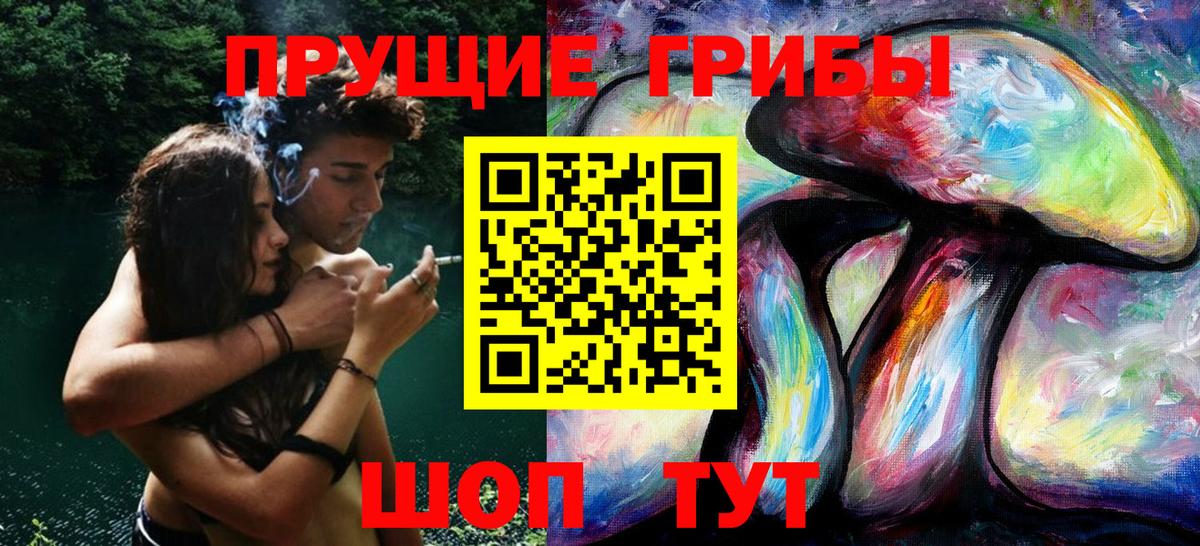 Галлюциногенные грибы Psilocybe  Псилоцибиновые грибы GOLDEN TEACHER  Вход с VPN  Кудрово 