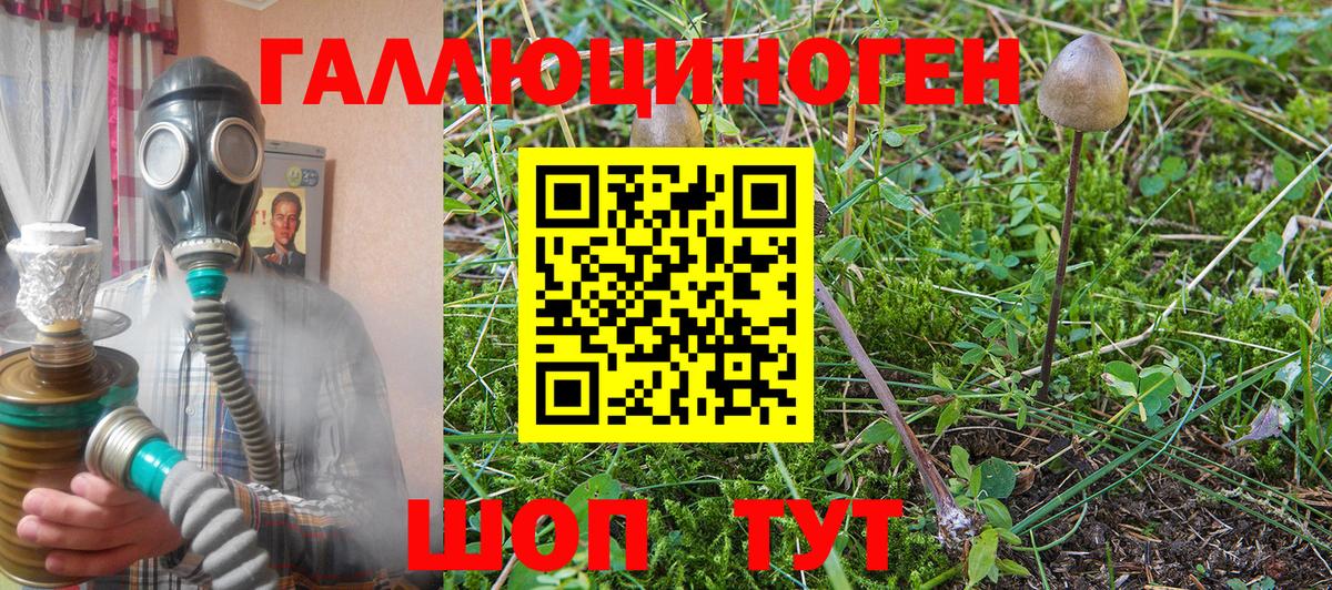 Галлюциногенные грибы Magic Shrooms Кудрово